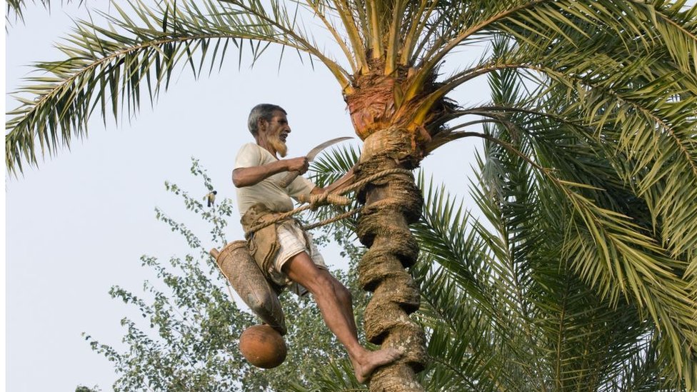 _122616203_gettyimages-170478031